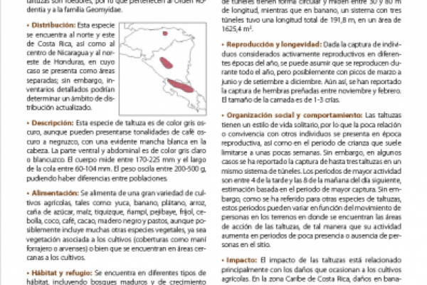 Documento divulgativo sobre plagas vertebradas llamado El taltuza (Heterogeomys cherriei)